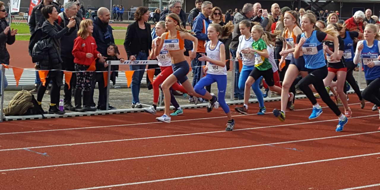 Regionale finale boscross 2017