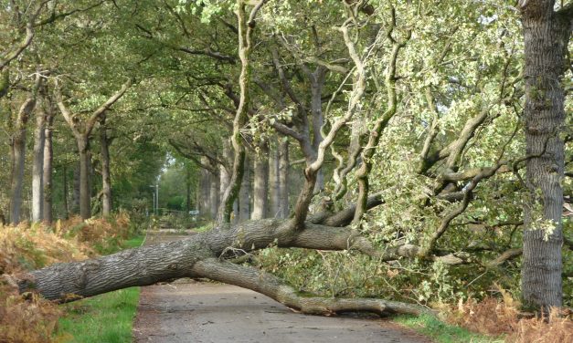 Naar buiten? Kijk uit!