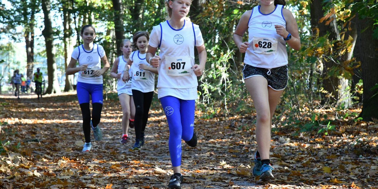 Zonovergoten Pijnenburg Bosmarathon