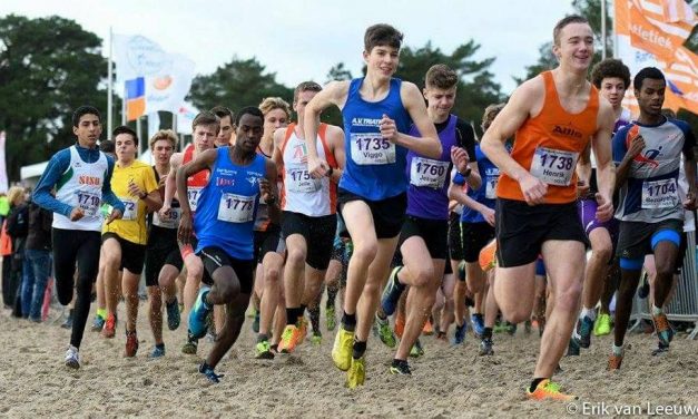 NIEUW! De Soester Boscross