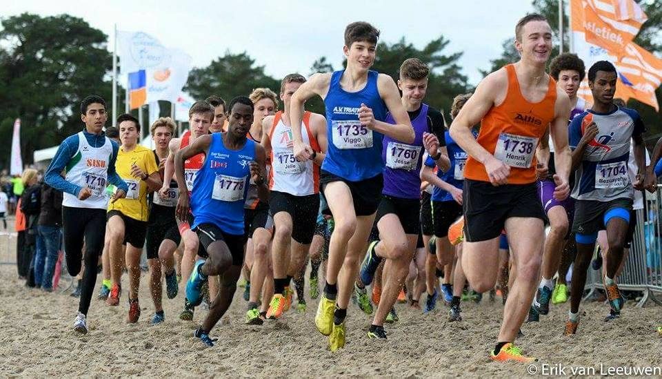 NIEUW! De Soester Boscross