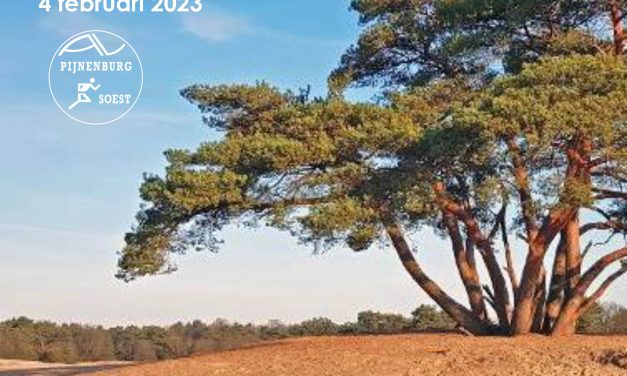 Soester Boscross: 4 februari 2023